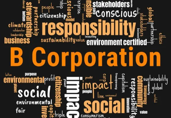 What are the aims of B-Corp Companies?