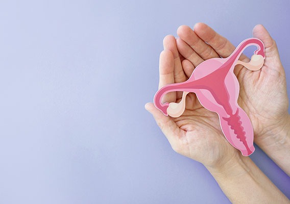 Menopause treatment