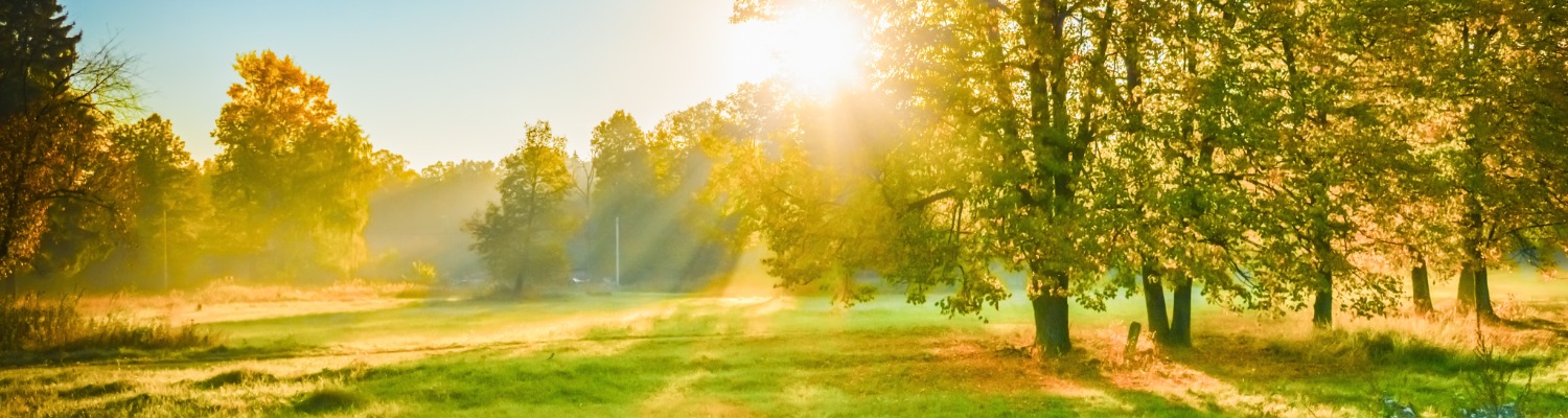 LED Light Therapy Explained: Healing Benefits for Your Skin