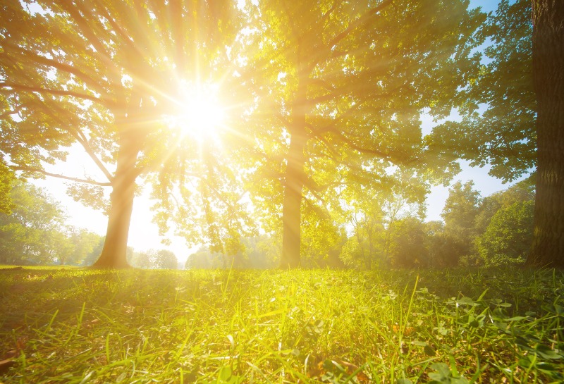 Healthy Sun Habits for Radiant Skin This Summer