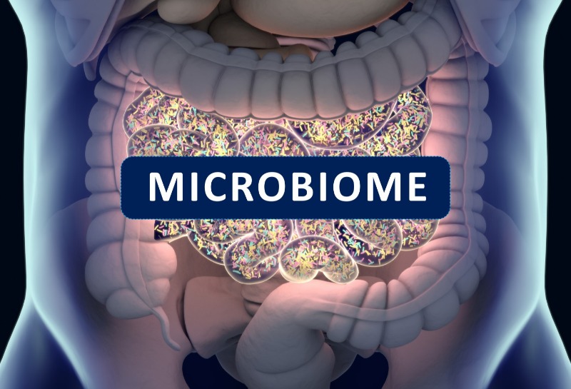 Microbiome: The Trendiest Word You’ll Hear in 2022