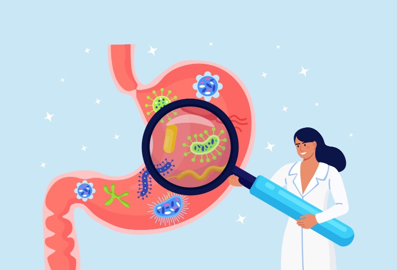 Skincare and Digestion Part 2: Healing Your Gut