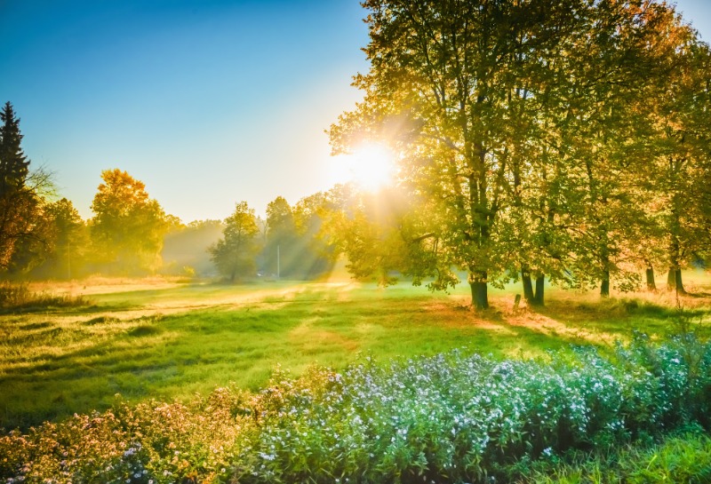 LED Light Therapy Explained: Healing Benefits for Your Skin