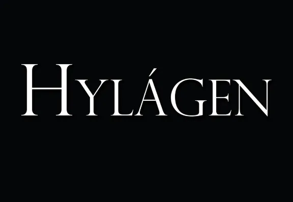 Hylagen Newry Middle Banner