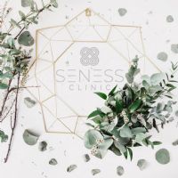 Seness Logo
