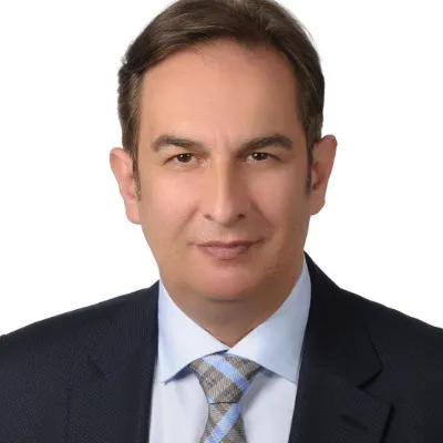 Mr Ertan Erel
