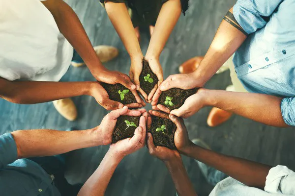 Invitation to Join UK ESG & Sustainability Focus Groups