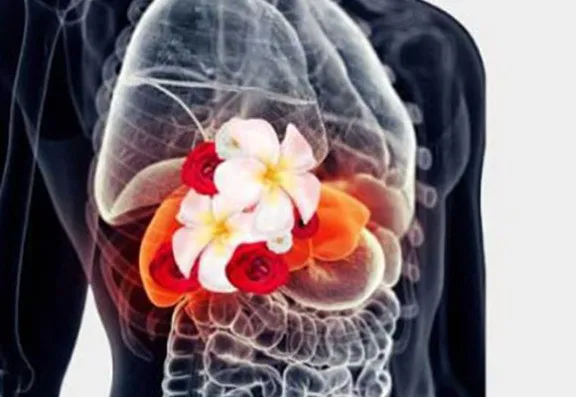 Test. Target. Transform. Test. Target. Transform.