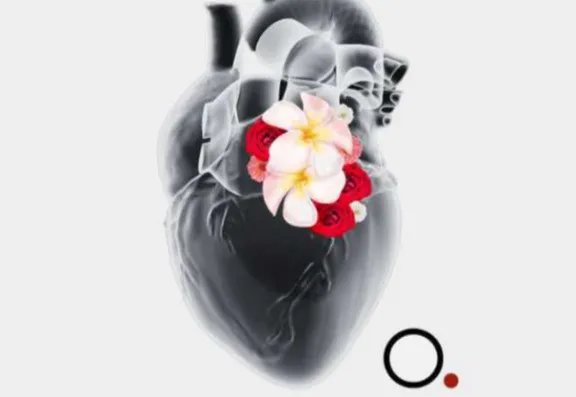 Why Test-Based Nutrition Matters Why Test-Based Nutrition Matters