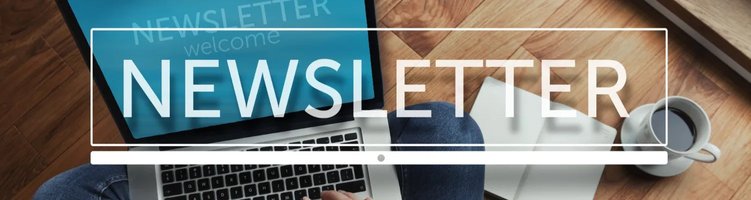 New Aesthetics AI Newsletter Launch