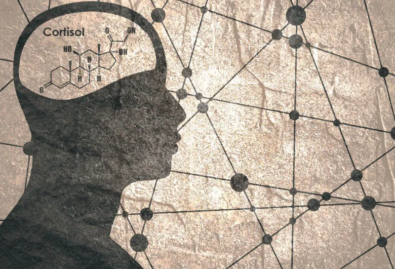 Menopause at Work: A Guide for Employers | Download Your Free Guide Menopause at Work: A Guide for Employers | Download Your Free Guide