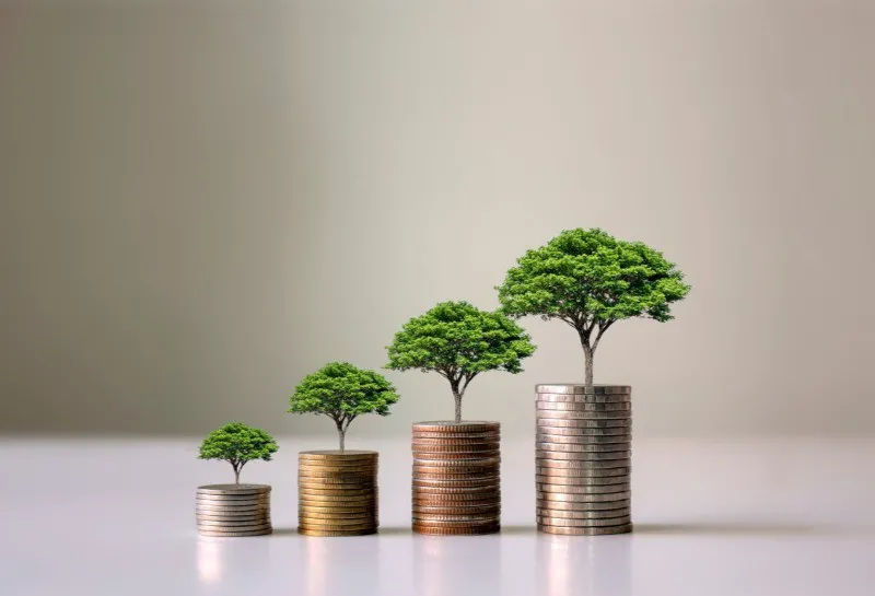 The VIP Route to Steady Cashflow
