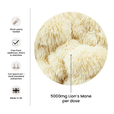 FungShui - High Strength Lion’s Mane Premium Mushroom Tincture Liquid Extract