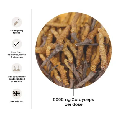 FungShui - High Strength Cordyceps Premium Mushroom Tincture Liquid Extract