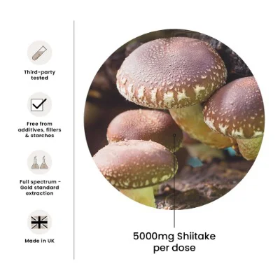 FungShui - High Strength Shiitake Premium Mushroom Tincture Liquid Extract