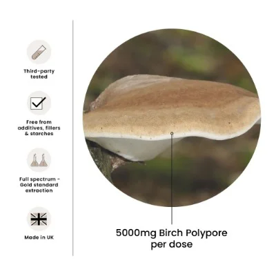 FungShui - High Strength Birch Polypore Premium Mushroom Tincture Liquid Extract